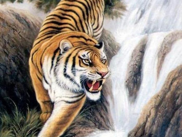 Cọp trong phong thủy mang ý nghĩa gì?