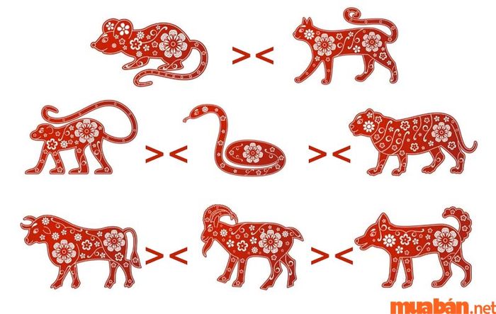 Nhóm 8 chi xung khắc trong tương hình là gì?