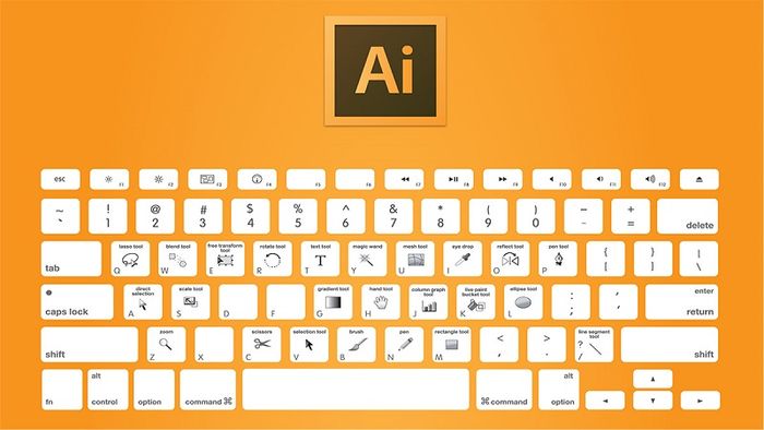 Tải Adobe Illustrator: Công cụ thiết kế đồ họa và vẽ vector chuyên nghiệp