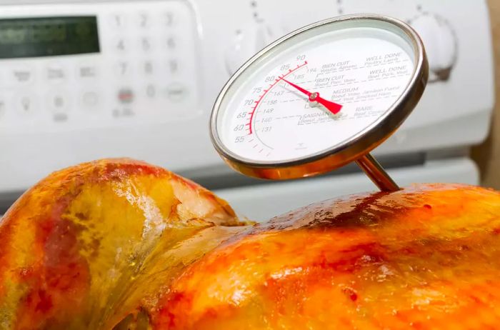 meat thermometer inserted into a roasted turkey