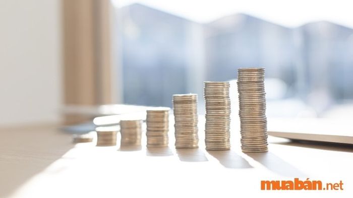 Tình hình tài chính tuổi Bính Dần 1986 nam mạng năm 2024
