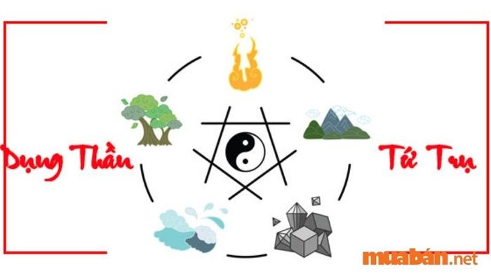 Tứ Trụ của tuổi Bính Dần 1986 nam mạng năm 2024 là Thiên Hòa, Địa Hòa.
