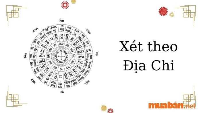 Tử vi Bính Dần 1986 nam mạng xét theo Địa Chi trong năm Giáp Thìn 2024