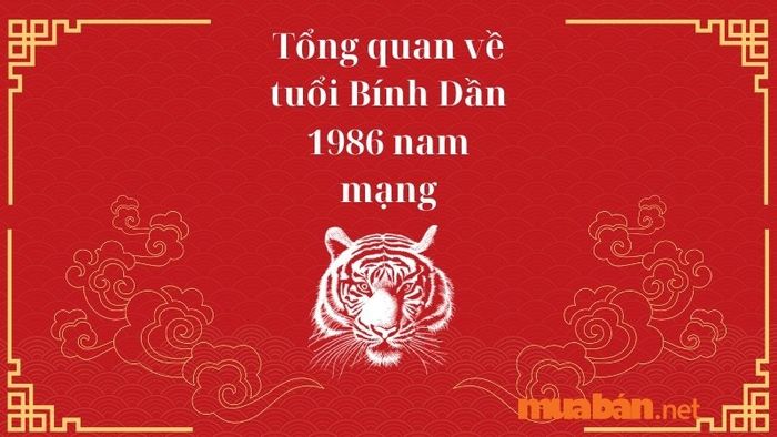 Tổng quan về vận mệnh tuổi Bính Dần 1986 nam mạng năm 2024