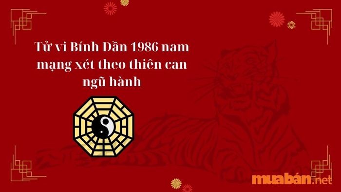 Tử vi Bính Dần 1986 nam mạng theo thiên can ngũ hành trong năm 2024