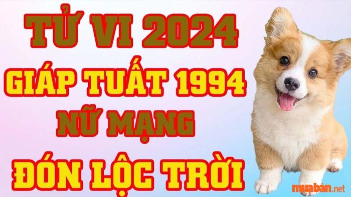 Tử vi Giáp Tuất 1994 nữ mạng năm 2024 – Lộc Tài Về Tới