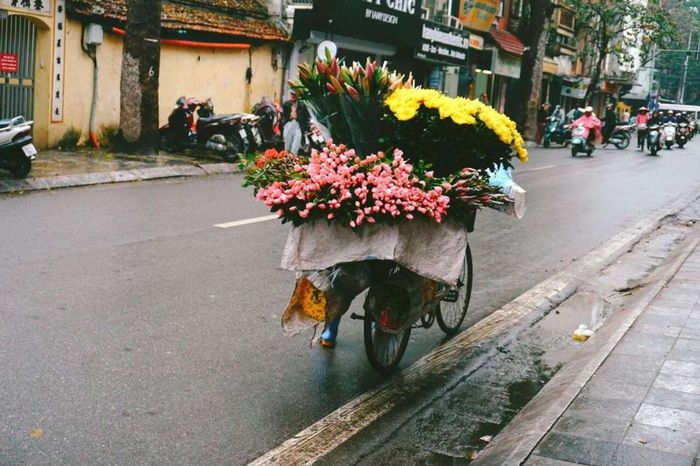 Mùa thu ở Hà Nội