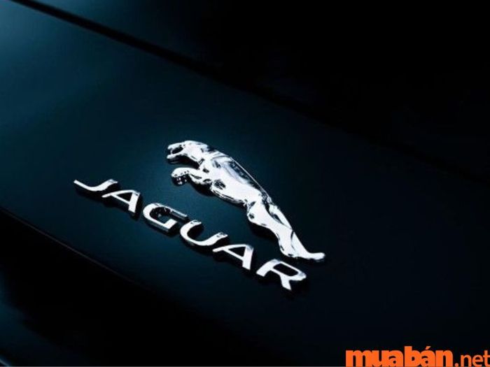 Jaguar – thương hiệu ô tô sang trọng và thể thao đa dụng – Logo các hãng xe ô tô