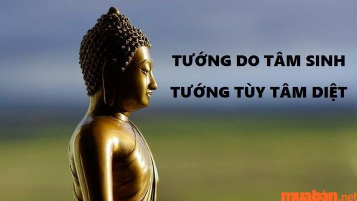 Tâm sinh tướng