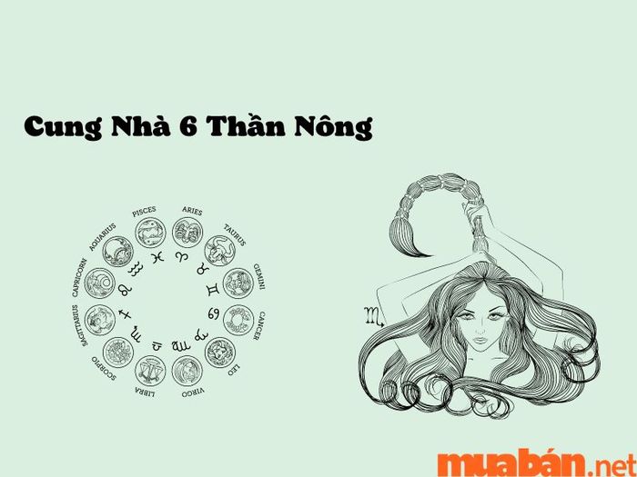 Cung Nhà 6 Thần Nông