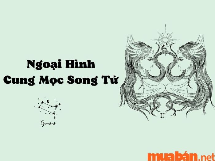Vẻ ngoài của cung mọc Song Tử