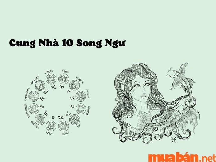 Cung Nhà 10 Song Ngư