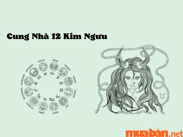 Cung Nhà 12 Kim Ngưu