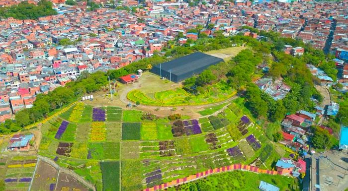 Today, the hill where the landfill once stood has been transformed into a vibrant urban park and garden.