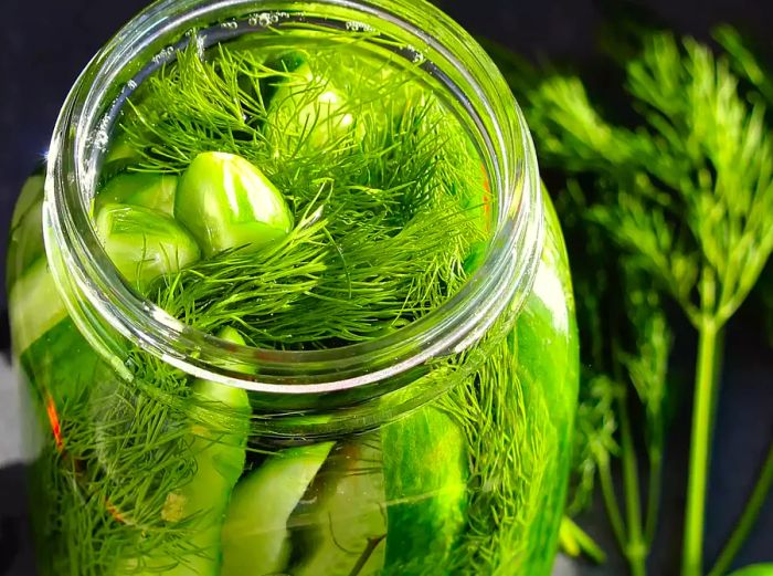 A close-up of Fermented Kosher-Style Dill Pickles, surrounded by fresh dill in a jar.