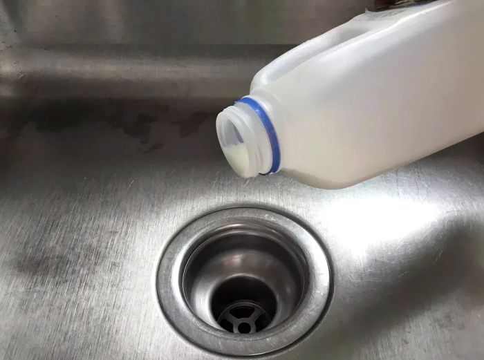 A jug of milk about to be poured down the drain of a stainless steel sink