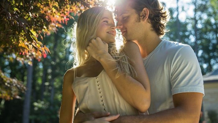 Phim tình cảm Hollywood 15