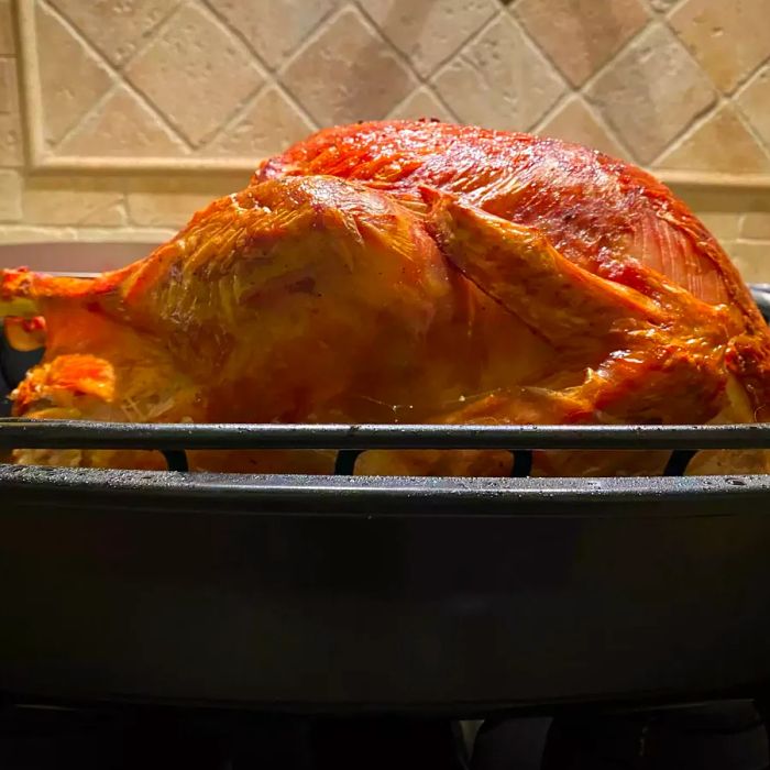 A side view of a perfectly roasted, golden-brown turkey in a roasting pan