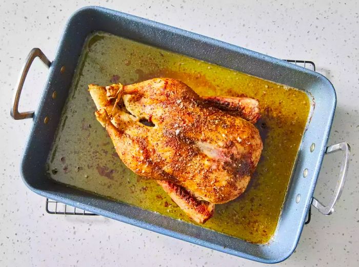 A perfectly golden-brown roasted whole duck in a roasting pan