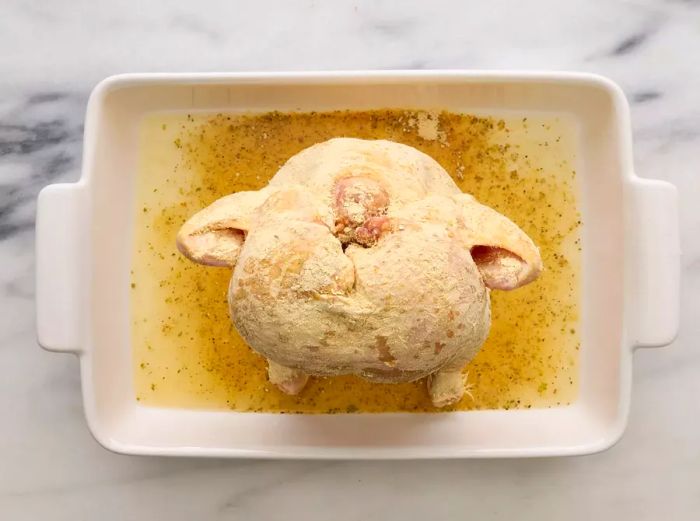 A baking dish with beer and a chicken coated in garlic seasoning, standing upright on a beer can