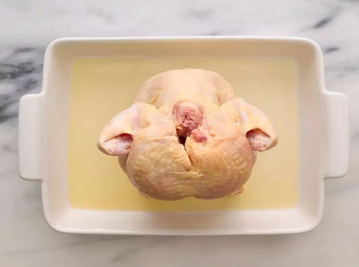 A baking dish with beer at the bottom, featuring a whole chicken with its wings tucked in, standing upright on a beer can.