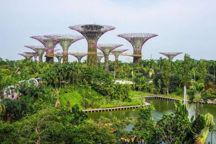 Vườn Gardens by the Bay