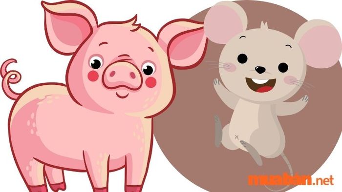 Hợp tác làm ăn với tuổi Hợi và Giáp Tý mang lại thành công rực rỡ