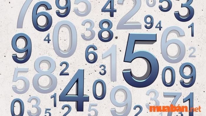 Người sinh năm 2027 mệnh gì? – Cùng khám phá con số may mắn dành cho những người sinh năm này