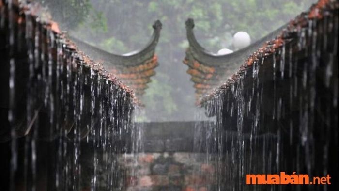 Những người sinh năm 2027 thuộc mệnh Thủy.