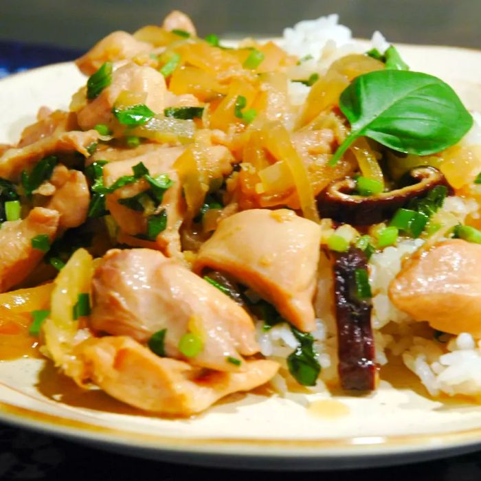 Close-up of Thai Basil Chicken Stir-Fry, garnished with fresh basil and green onions, served with white rice on the side.