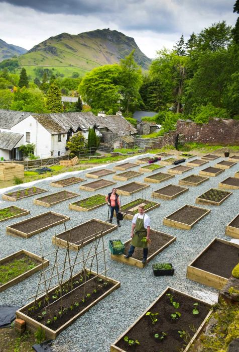 Head chef Kevin Tickle and head gardener Catherine Walsh work side by side among the Forest Side’s flourishing raised beds.