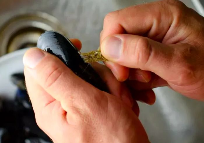 Mussel Cleaning Tips