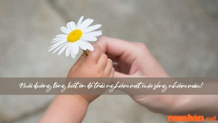 Sống biết ơn mang lại cho cuộc đời bạn những điều tốt đẹp hơn