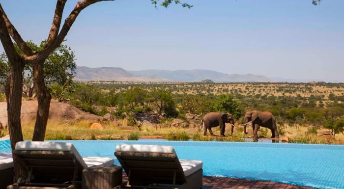 In the Serengeti, even relaxing becomes an extraordinary experience.