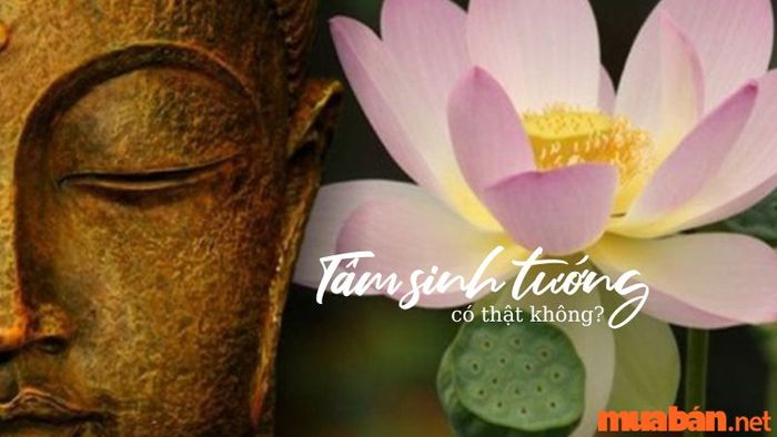 Liệu khái niệm tâm sinh tướng, tướng sinh mệnh có thực sự đúng không?