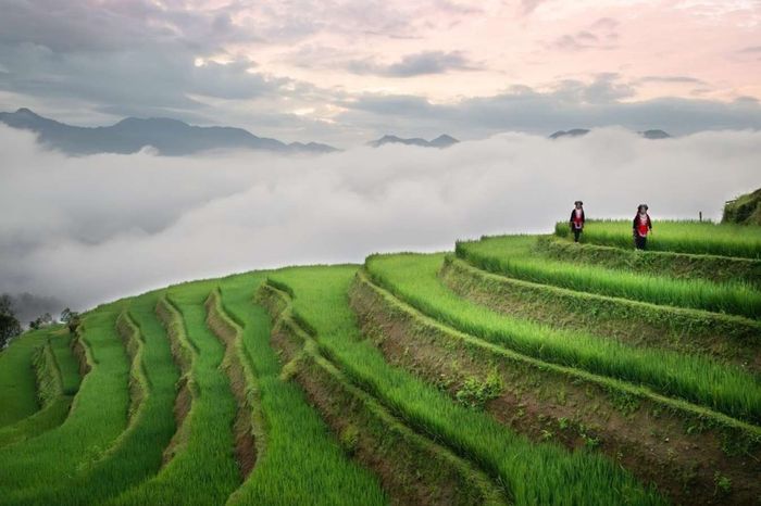 Ruộng bậc thang Hà Giang