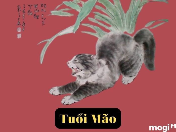 People born in the Year of the Cat and affected by Thái Tuế