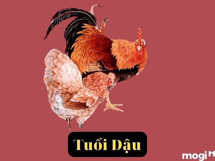 People born in the Year of the Rooster and affected by Thái Tuế