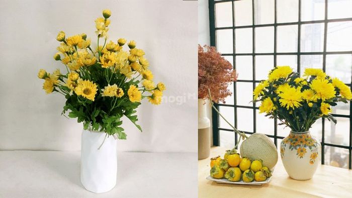 Yellow Chrysanthemum