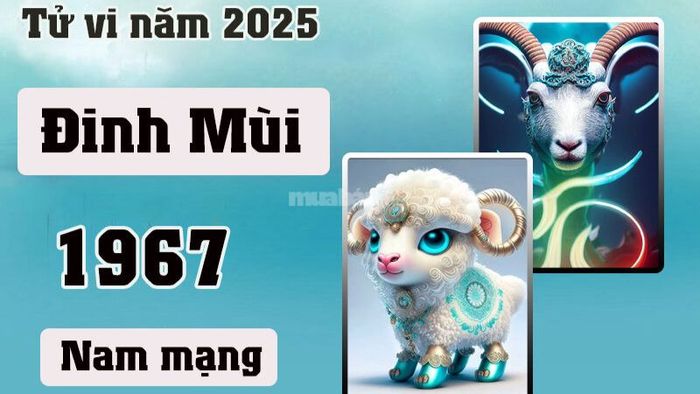 Tử vi phái nam Đinh Mùi 1967 năm 2025: Tình hình sự nghiệp, tài chủ yếu và mức độ khỏe