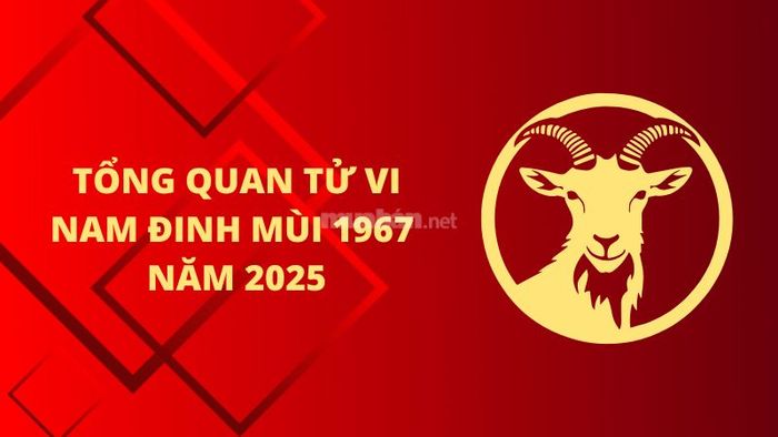 Tổng quan liêu tử vi phong thủy năm 2025 của phái nam Đinh Mùi 1967.