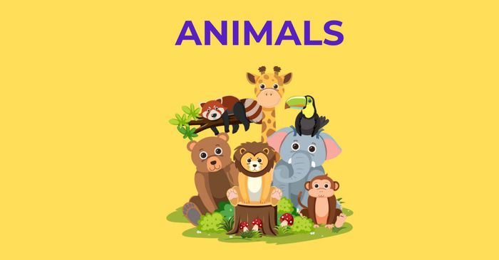 Chủ đề về động vật (Animals)