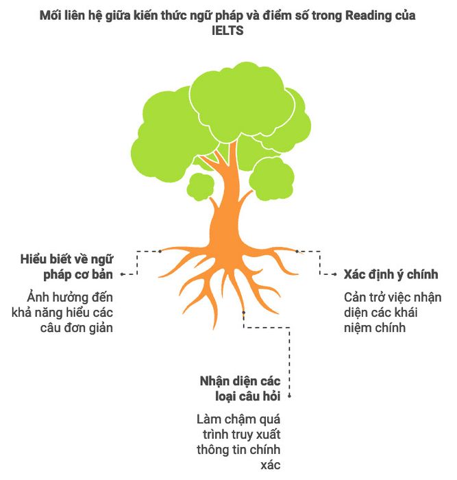Mối liên hệ giữa kiến thức ngữ pháp và điểm số trong phần thi Reading