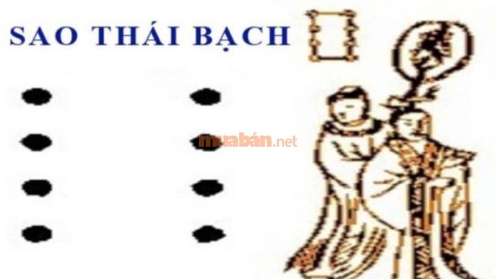 Sơ đồ cúng sao Thái Bạch cho nam mạng Ất Hợi 1995 sẽ được thực hiện với các vật phẩm theo hướng dẫn cụ thể để cầu bình an và giảm bớt ảnh hưởng xấu.
