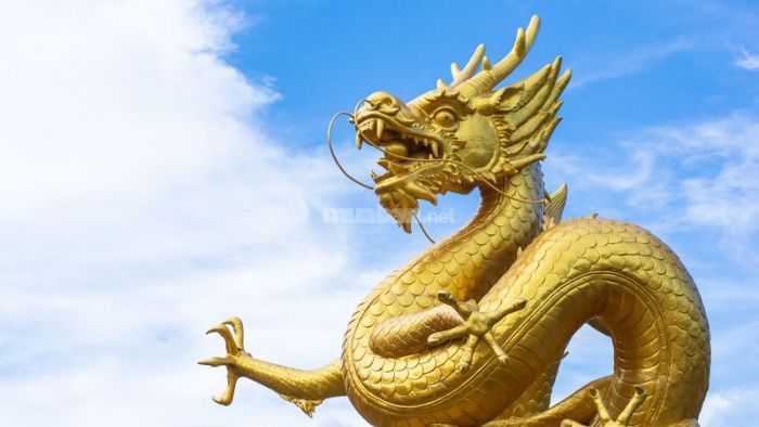 Tình hình tài chính của nữ Bính Thìn 1976 trong năm 2025 khá khả quan