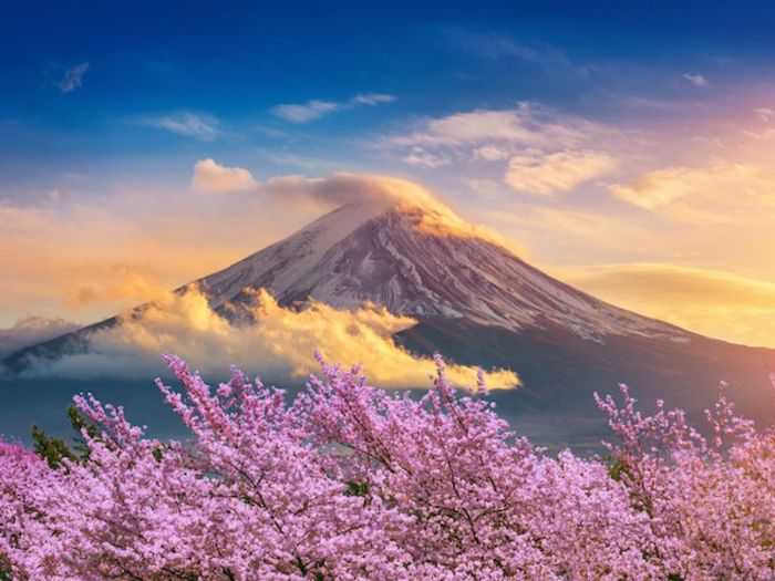 Kinh nghiệm du lịch Shizuoka: Top 10 địa điểm nổi bật không thể bỏ qua 3