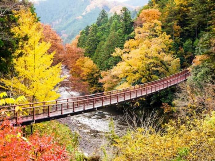 Kinh nghiệm du lịch Shizuoka: Top 10 điểm đến hấp dẫn bạn không thể bỏ lỡ 5