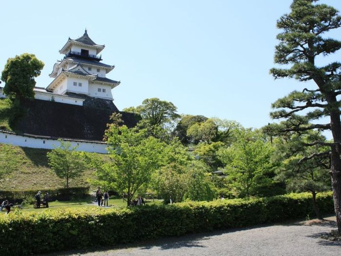 Kinh nghiệm du lịch Shizuoka: Top 10 điểm đến tuyệt vời không thể bỏ lỡ 12