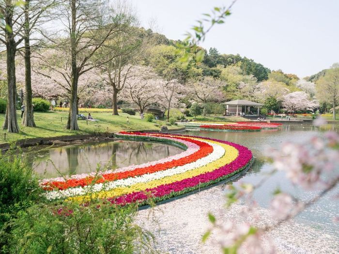 Kinh nghiệm du lịch Shizuoka: Top 10 điểm đến tuyệt vời bạn không thể bỏ lỡ 6