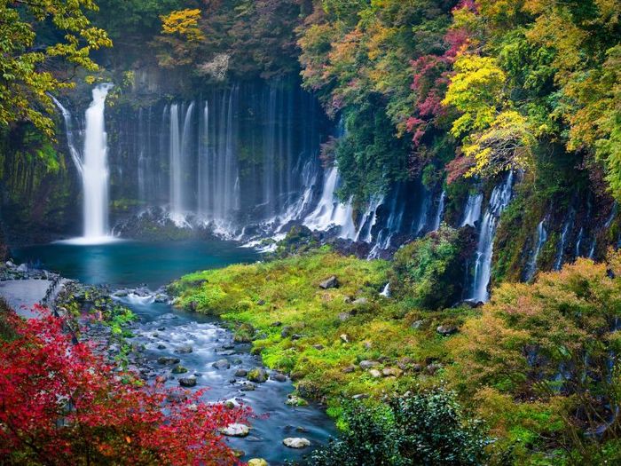 Kinh nghiệm du lịch Shizuoka: Top 10 điểm đến không thể bỏ lỡ 11